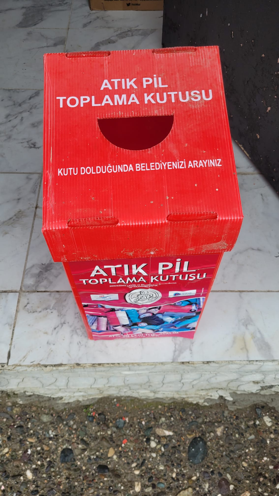 Proje